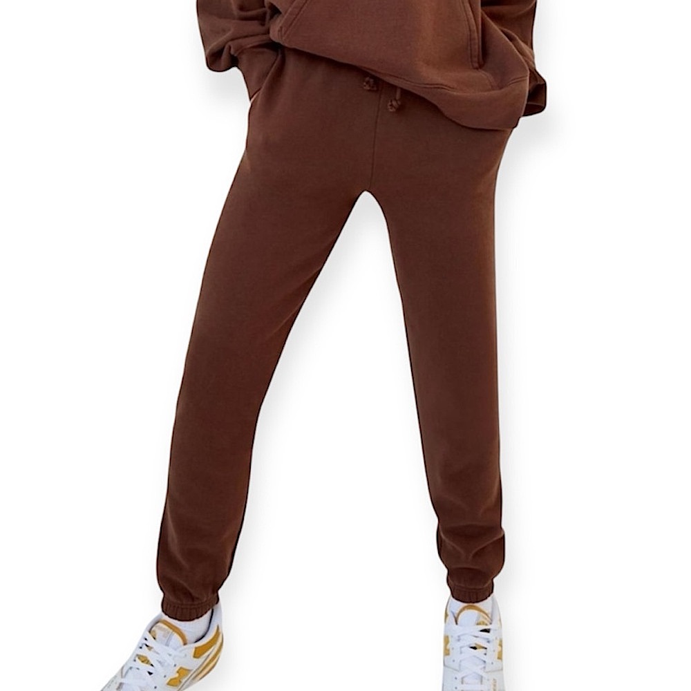 Aritzia TNA Extra Fleece Boyfriend Jogger Sweatpants